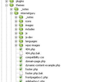 Dreamweaver file manager screen shot